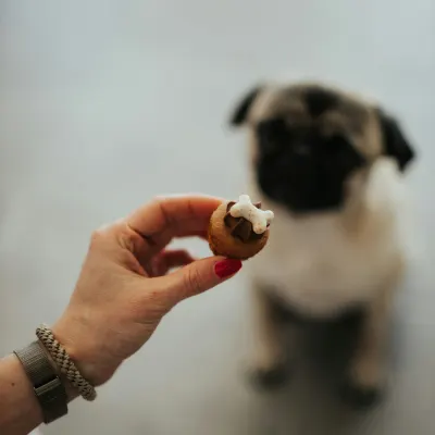 Mini cupcake na zakázku