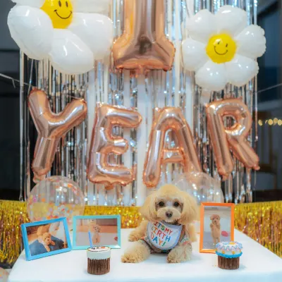 Štěně oslava cupcake výzdoba